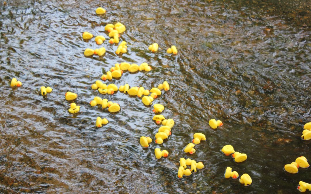 The Duck Derby Takes Place in Clark Park