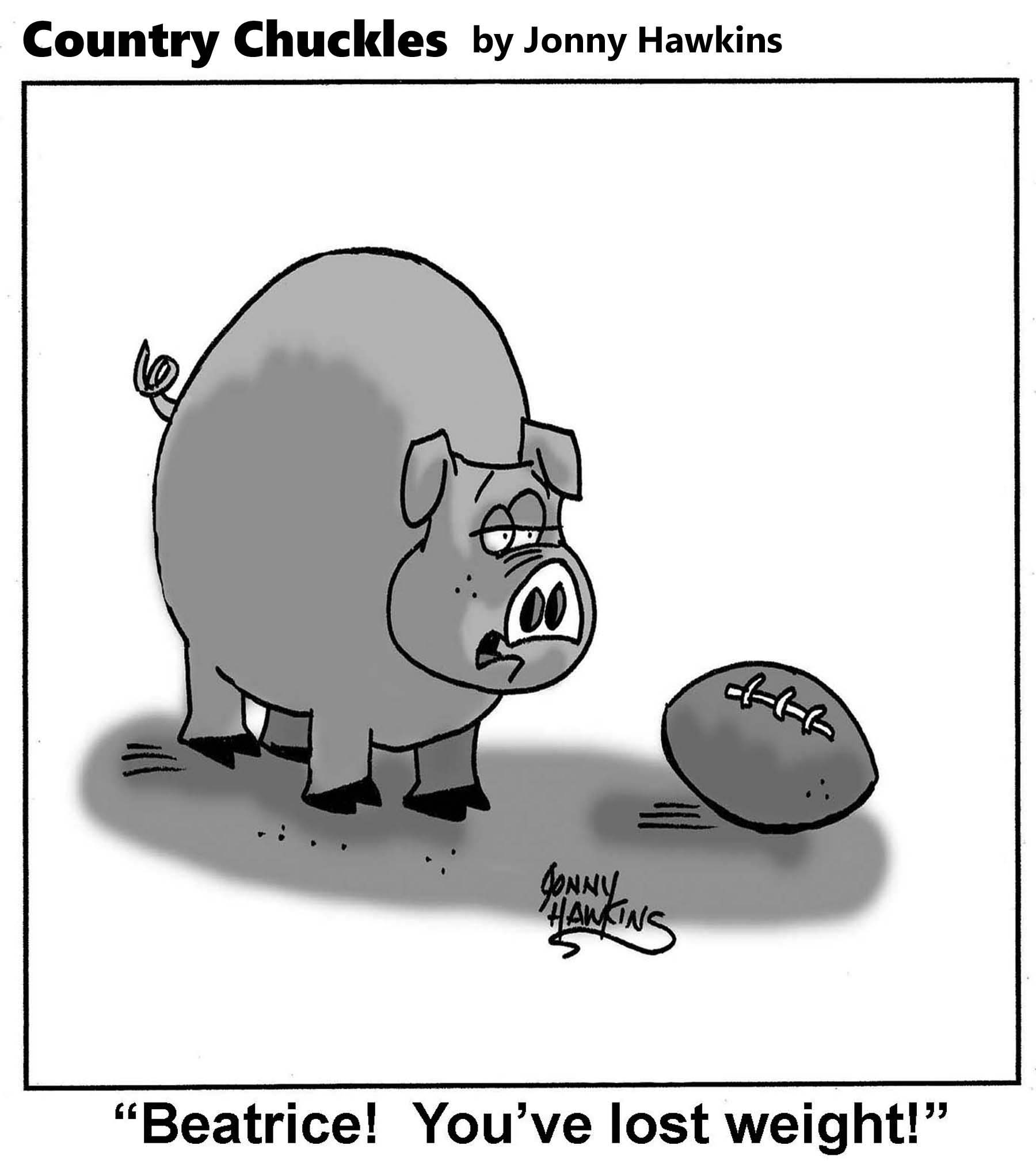 Hawkins cartoon "Beatrice! You've lost weight!"