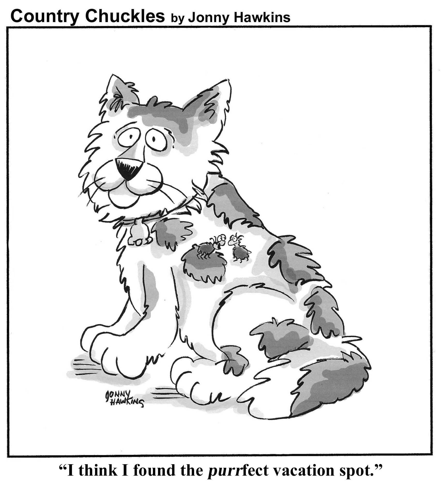 Hawkins cartoon "I think I found the purrfect vacation spot."