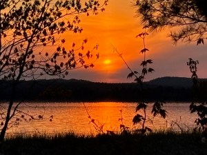 An orangey-yellow sunset over a lake with trees at its edges.