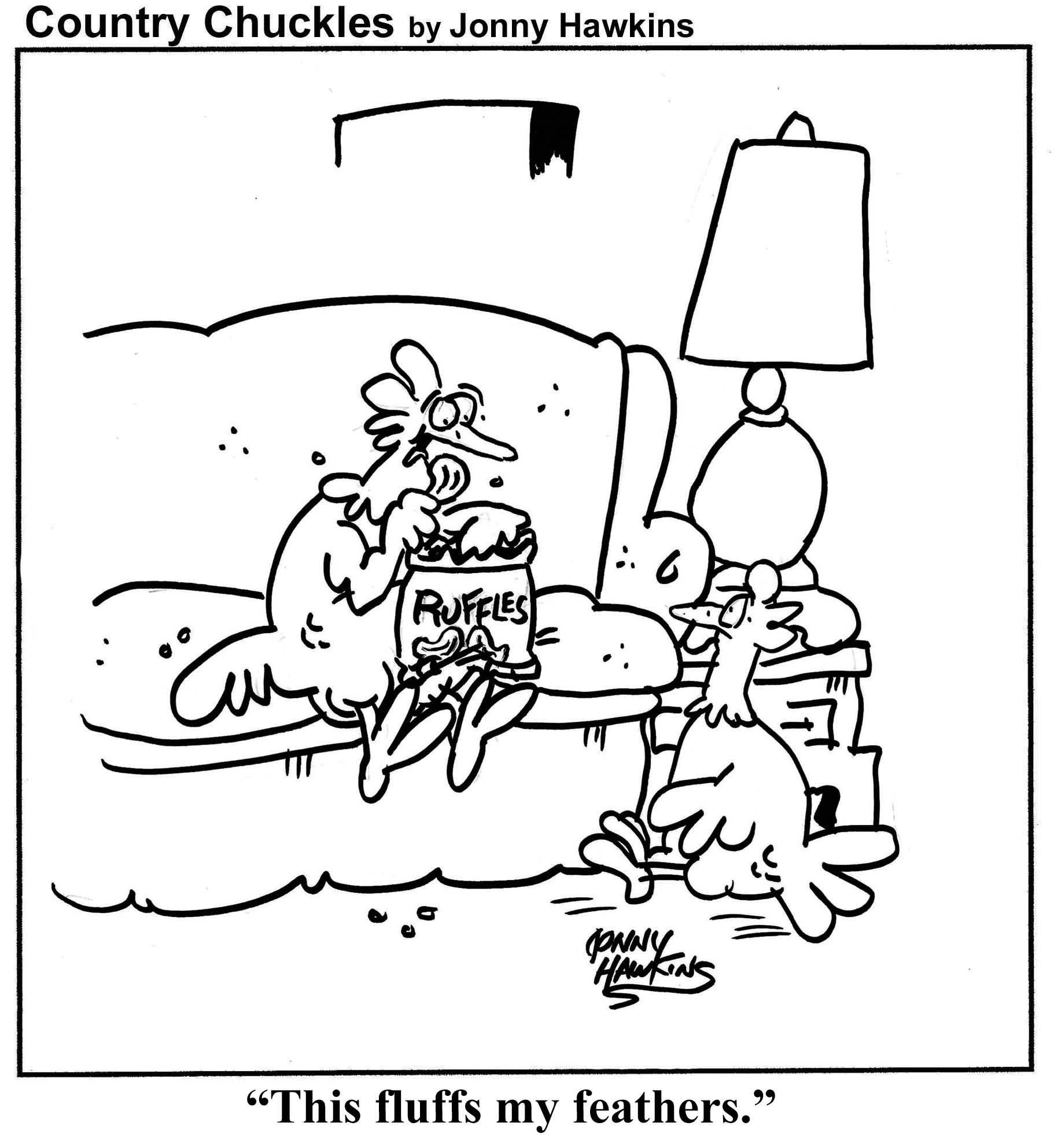 Two chickens sit in a living room, one eating a bag of Ruffles potato chips. "This fluffs my feathers," it says.
