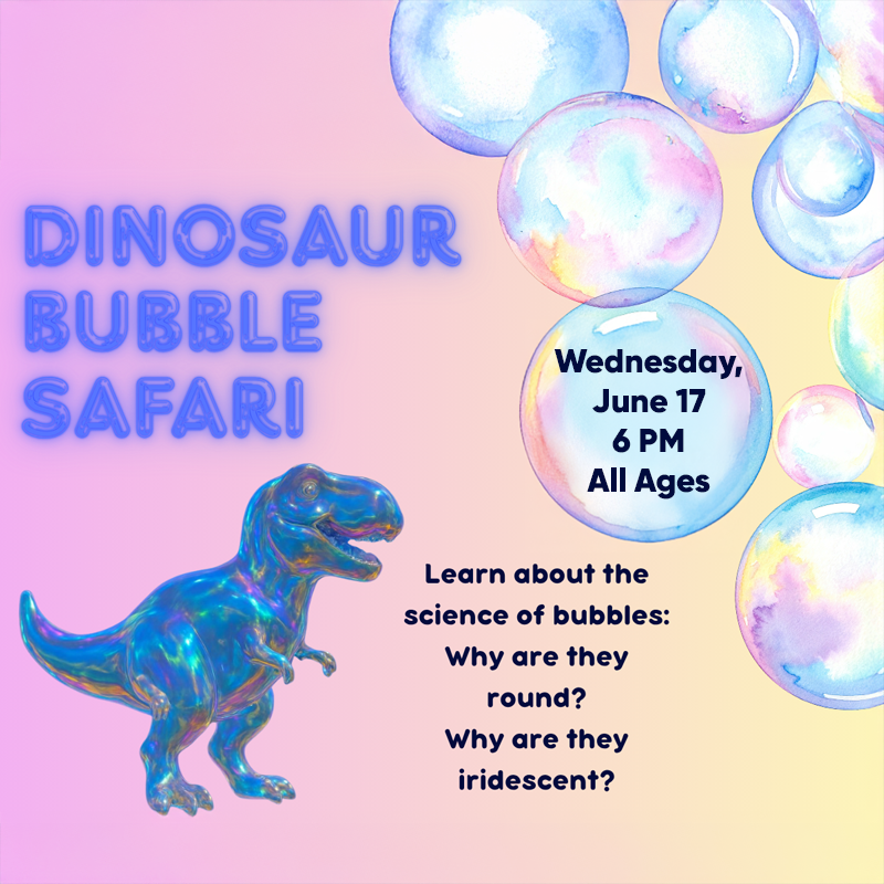 Dinosaur Bubble Safari at Schoolcraft Community Library