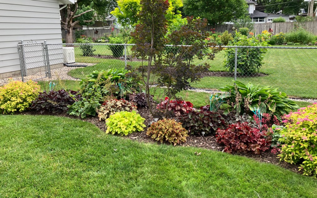 Some lush green plants.