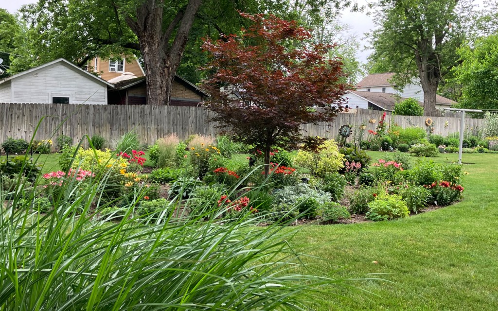 An island of verdant green plants.