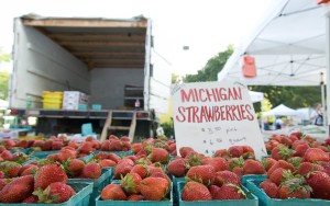 Several crates filled with Michigan strawberries.