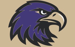 A purple eagle mascot's head.