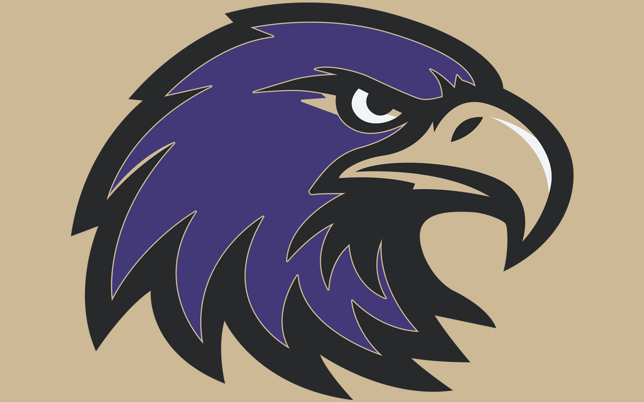 schoolcrafteagles A purple eagle mascot's head.